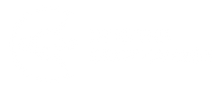Into The Cryptoverse - Home